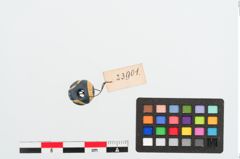 Foto von Glasaugenperle (NHMW-PRAE-023901)